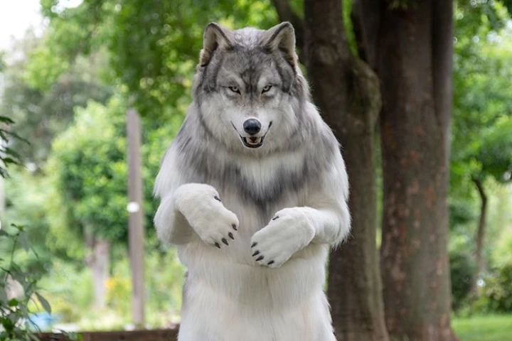 Man in Japan pays Rs 18 lakh to look like a wolf