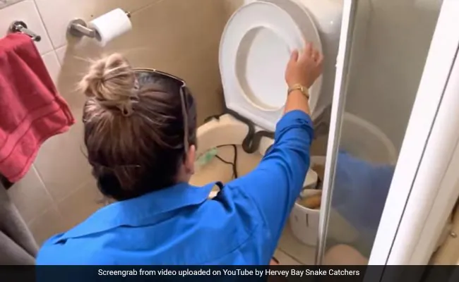 Watch: Woman expert calmly lifts snake coiled on a toilet seat