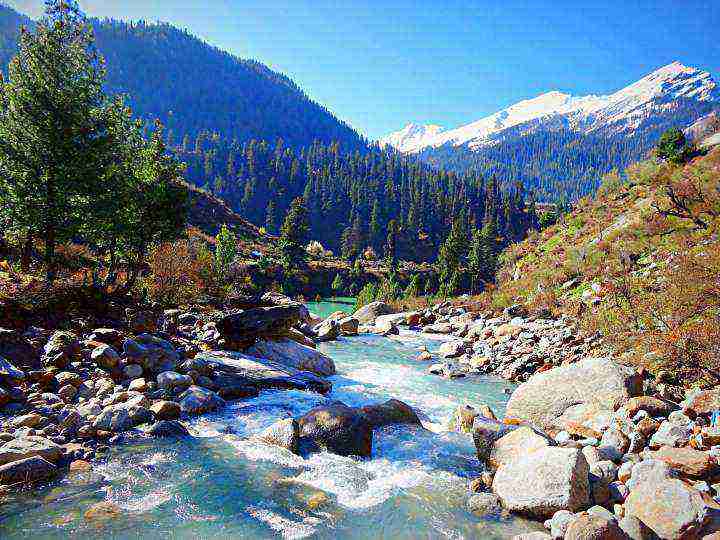 Why are people going missing in Himachal’s beautiful Parvati valley?