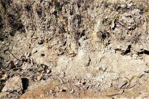 How Indonesia’s 75,000-year-old volcano spewed ash in Telangana