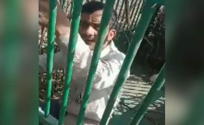 Caught on Camera: Rooster thief gets trapped in leopard’s cage