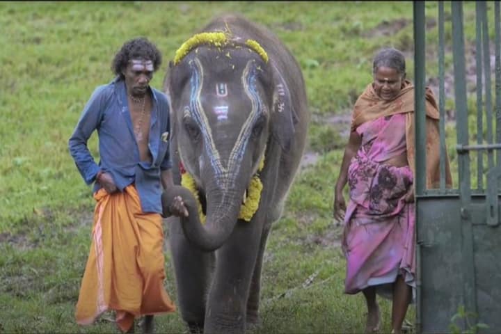 ‘Elephant Whisperers’ highlights India’s timeless tradition of celebrating human-animal coexistence