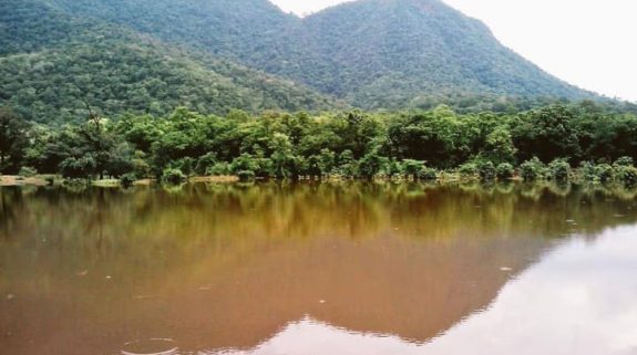 Proud moment for Odisha as Gandhamardan hills becomes the State’s third biodiversity heritage site