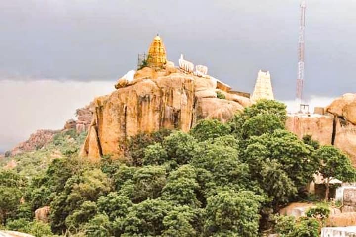 Pilgrims can now use ropeway to visit 500-year-old Manyamkonda temple in Telangana