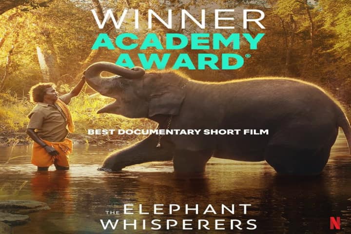 Oscar Elephant Whisperers1