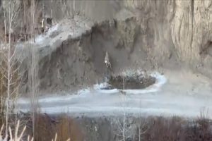 Rare video: Snow leopard in Ladakh races down near-vertical slope to hunt down deer 