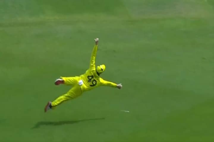 Watch: Steve Smith pulls off impossible catch to dismiss Hardik