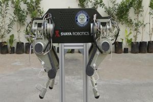 India develops its first four-legged robot