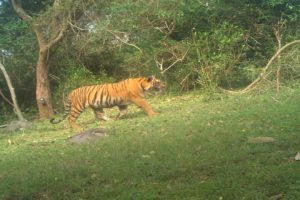 Tamil Nadu’s 18th wildlife sanctuary comes up in Erode
