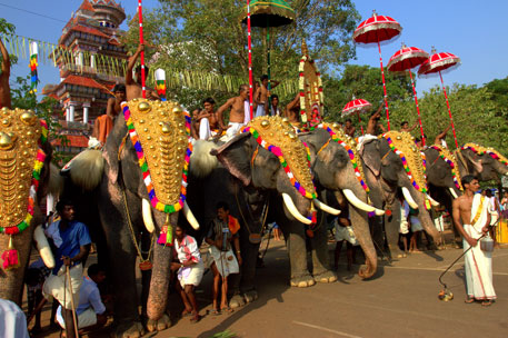 Madras High Court bans temples, individuals from acquiring elephants