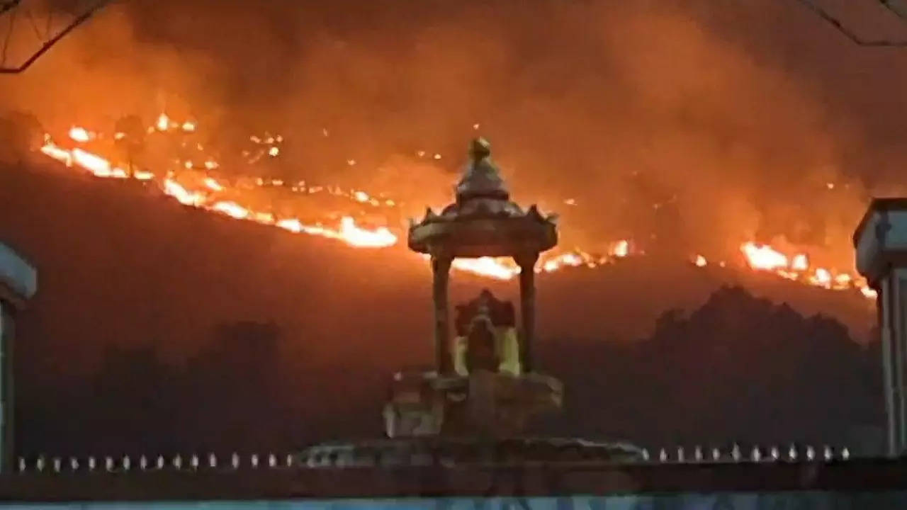 Massive forest fire triggers panic at Srikalahasti temple in AP, miscreants’ role suspected
