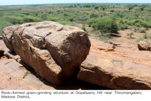 8,000-year-old Neolithic Age grain grinding structure found in Tamil Nadu