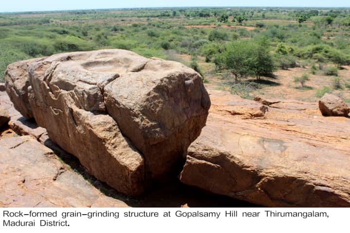 8,000-year-old Neolithic Age grain grinding structure found in Tamil Nadu