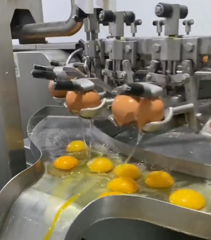Video: Remarkable machine that breaks eggs and then separates yolk and white portions