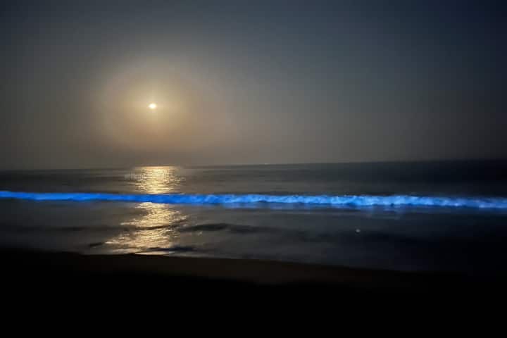 Light-emitting waves at Vizag beach stun visitors 