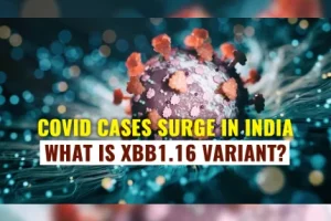 Covid Cases In India Rise Again | What Is XBB1.16 Variant?