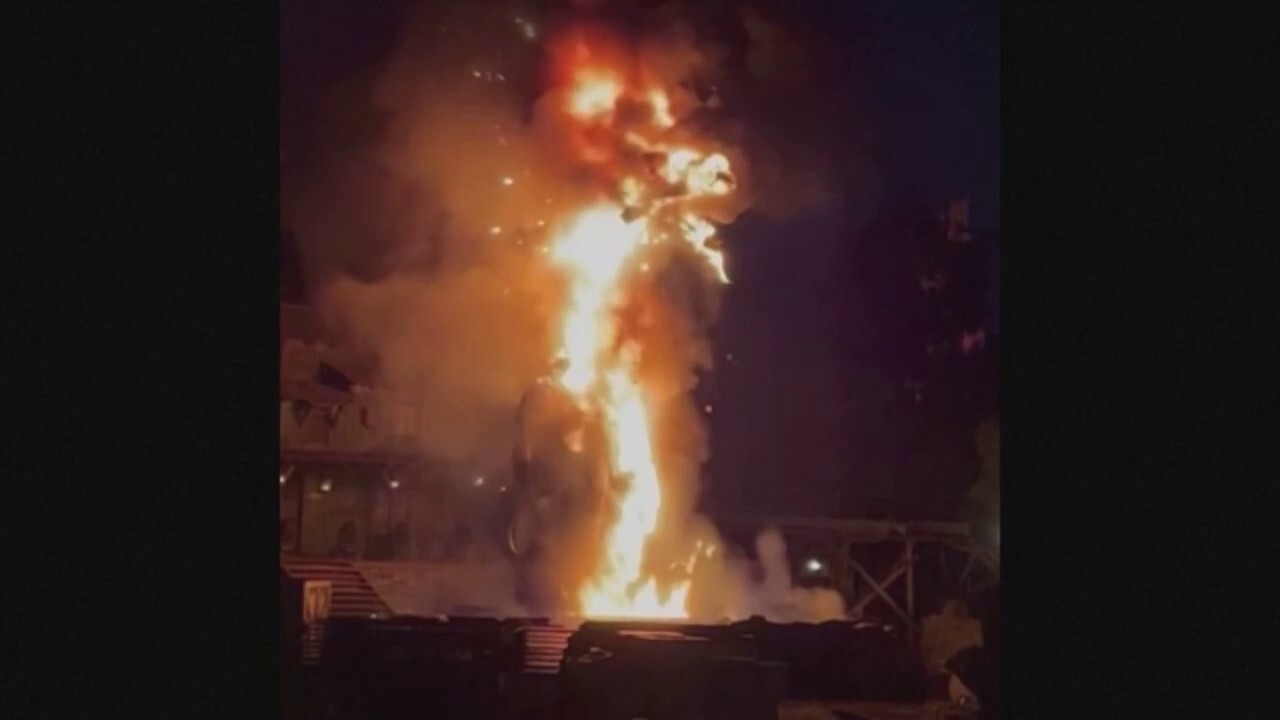 Watch: 45-foot dragon goes up in flames at live show in Disneyland, spectators evacuated