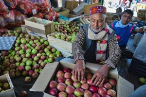 Modi Govt’s ban on cheap imported apples comes as big boon for Himachal, J&K farmers