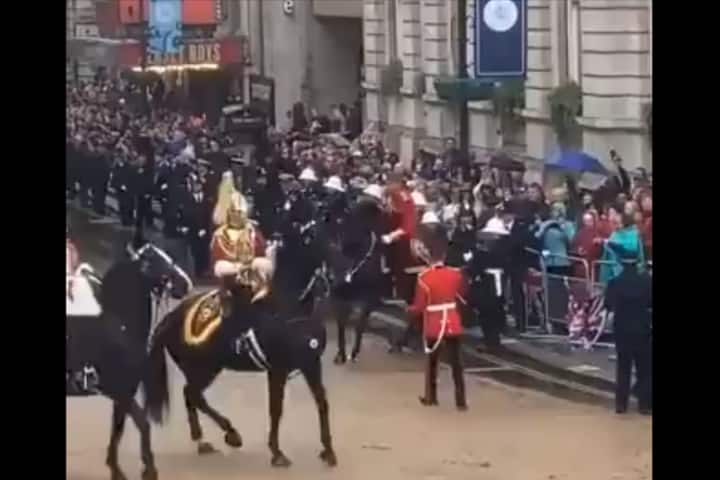 Watch: Spooked horse in King Charles’s coronation procession rears back and rams into crowd 