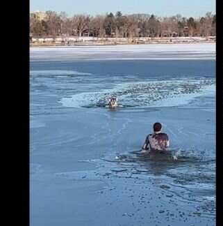 Watch: Man jumps in to save dog stuck in half-frozen lake