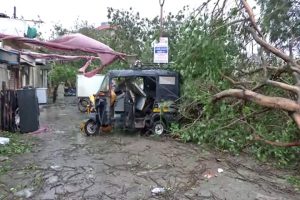 Cyclone Biparjoy uproots trees, electricity poles in Gujarat, leaves 22 injured