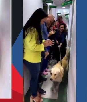 Watch: Brave dog gets royal send-off after recovering from bullet injuries in robbery