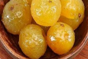 Organic honey gooseberry made by Kerala tribals to be marketed by Forest Dept.