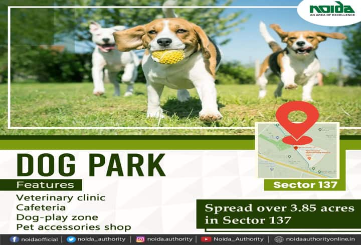 Park for pet dogs opened in Noida
