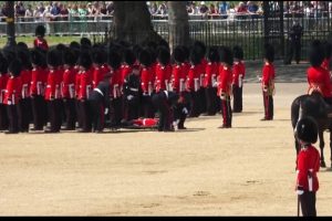 Captured on Camera: Three British soldiers faint during royal parade in London heat