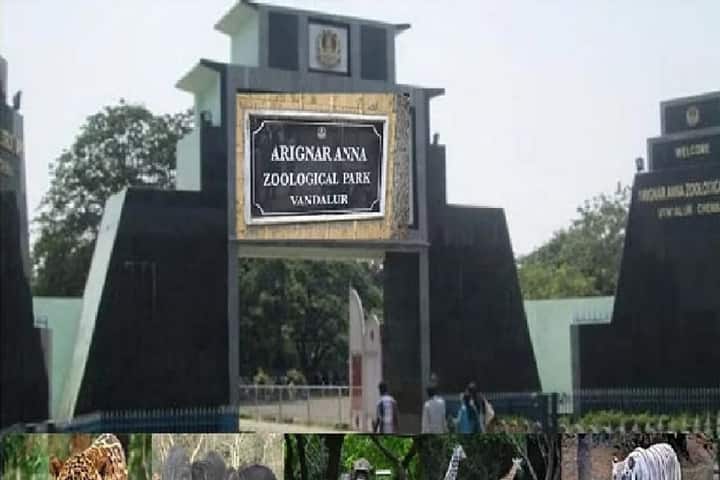 Museum and theatre to be set up at Chennai’s popular Vandalur Zoo