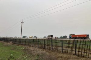 Govt plans Bahu Balli cattle fences along highways to reduce accidents