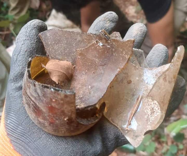 Tamil Nadu Forest Dept collects tonnes of dumped glass bottles in Kanniyakumari that injure wildlife