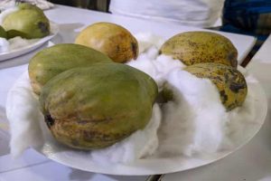 Kerala’s organic farmer grows mango varieties that are on verge of extinction