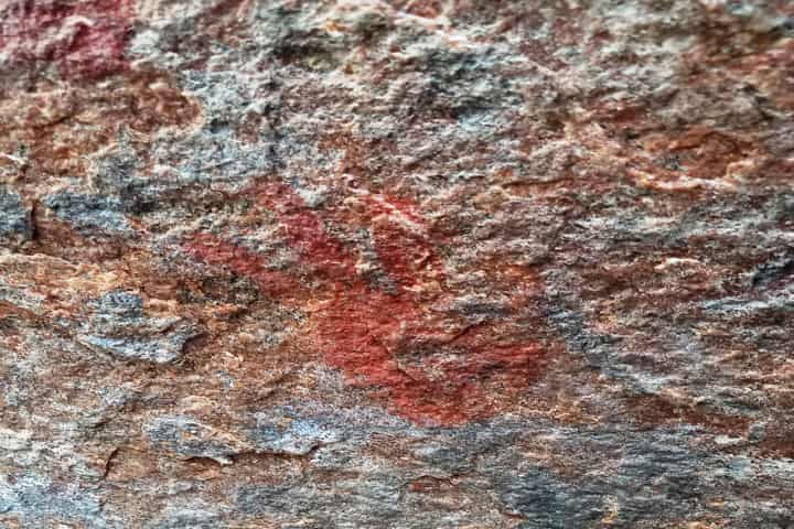 Tamil Nadu archaeologists strike big, find cave paintings by prehistoric humans dating back to 3,000 BC