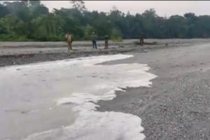 Watch: Dry riverbed springs back to life as monsoon rains arrive