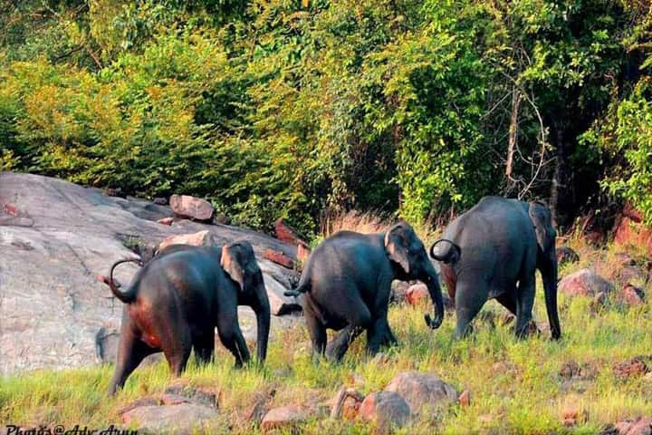 Kerala’s Shendurney Wildlife Sanctuary starts safari for tourists