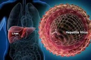 Health experts stress need for awareness to tackle Viral Hepatitis