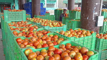 Why tomatoes have turned more costlier than apples in Himachal’s Solan market