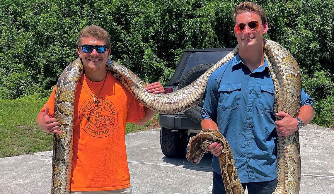 Watch: Gutsy university student captures 19-foot-long python with bare hands