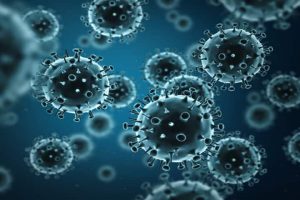 Antibody-based therapies may help fight influenza B: Study