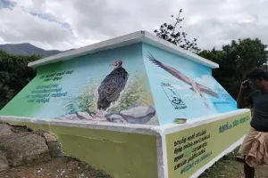 Tamil Nadu’s conservationists bat for vultures using art and painting