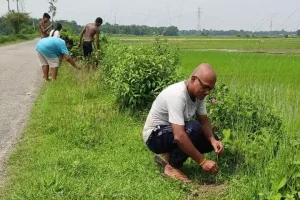 Assam’s math teacher mobilises students, plants thousands of trees in remote Kokrajhar