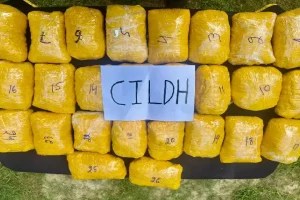 BSF and Punjab police nab two Pakistani cross-border smugglers with 29 kg heroin in Ferozepur