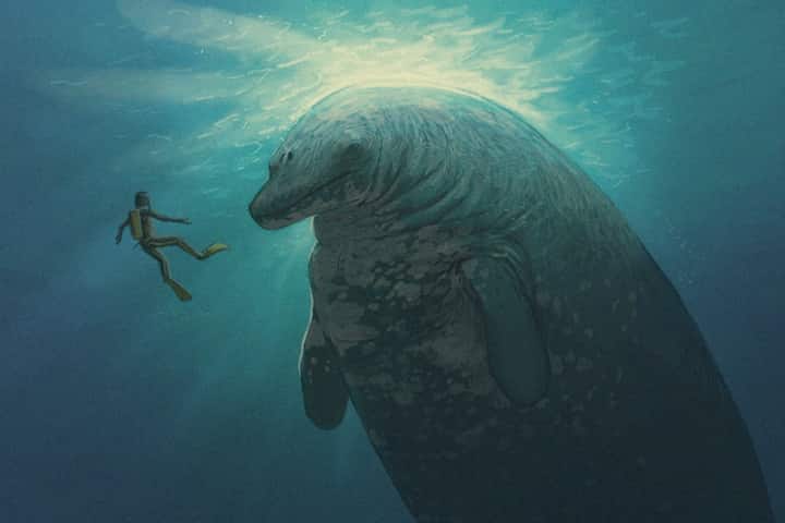 Heavier than the blue whale, this creature ruled the oceans 39 million years ago