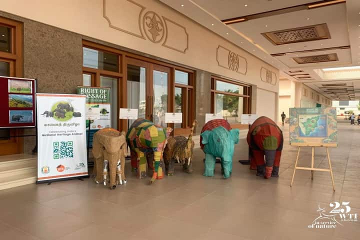 World Elephant Day 2023 TN Conclave2