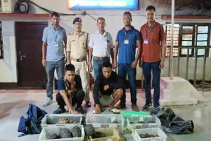 Railway Protection Force rescues 74 tortoises from poachers operating in Silchar