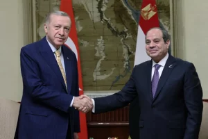 Turkey, Egypt Call For Immediate Ceasefire In Gaza