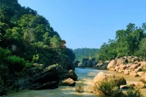 Odisha declares Gupteswar Forest as 4th biodiversity heritage site