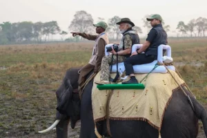 Assam: PM Modi takes elephant ride at Kaziranga National Park
