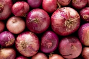 India allows onion export to Sri Lanka, gives additional quota to UAE